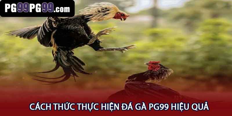 Đá Gà pg99